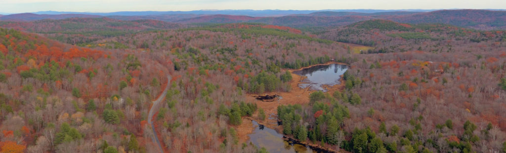 Bull Creek Common Lands is a local land trust engaging in small-scale, community-based land conservation in southern Vermont.